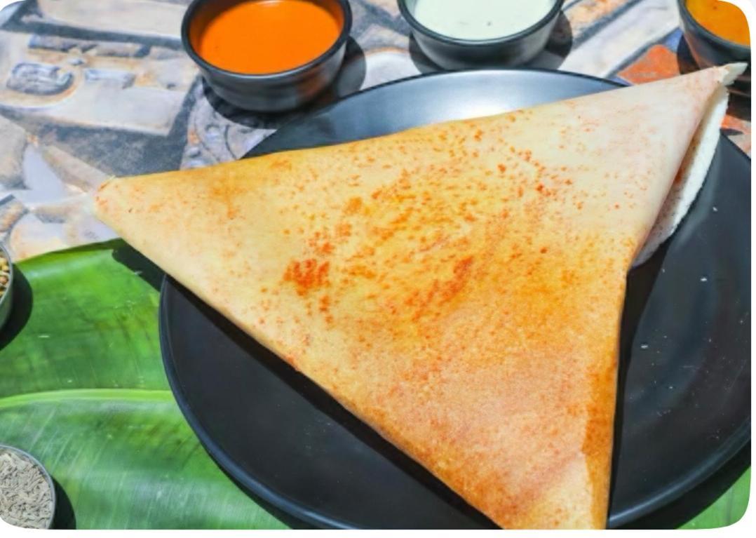 Hotel Dosa Plaza Udajpur Zewnętrze zdjęcie